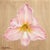 Hemerocallis I by Sybiline | Oil on panel Painting of a pink flower with yellow details For Sale