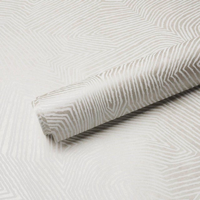 Schumacher Schumacher Labyrinth Grand Wallpaper In Soft Silver For Sale - Image 4 of 5
