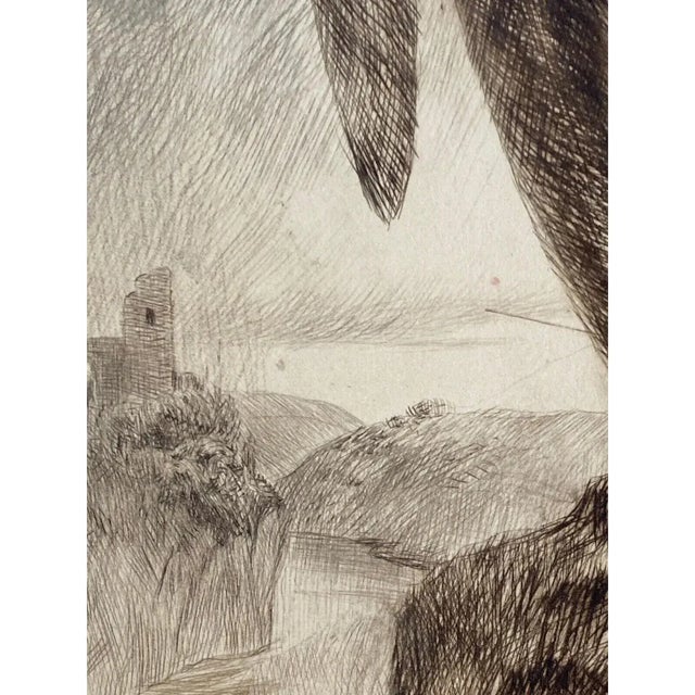 Printmaking Materials Curt Meyer-Eberhardt (1895–1977) Portrait of an Eagle Etching With Aquatint, C. 1930s For Sale - Image 7 of 12