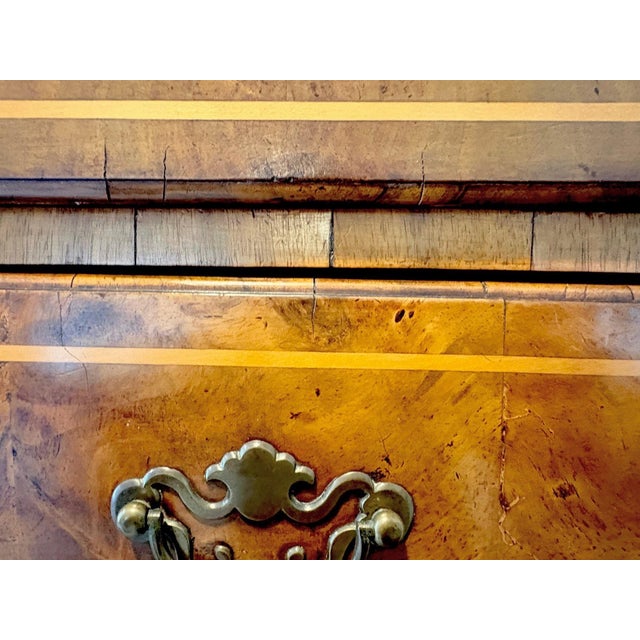 19th Century English Burled Walnut Highboy Chest on Stand For Sale - Image 13 of 18