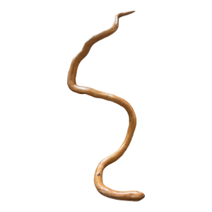 1930s American Folk Art Snake Hand Carved Wood Root Sculpture