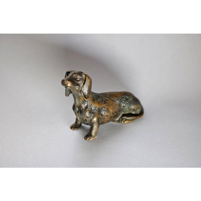 1900 - 1909 Miniature Bronze Dog Sculpture, 1905 For Sale - Image 5 of 5