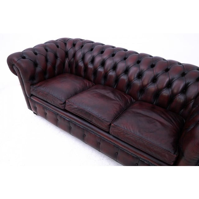 Mid-Century Chesterfield Sofa, Western Europe, 1950s For Sale - Image 9 of 12