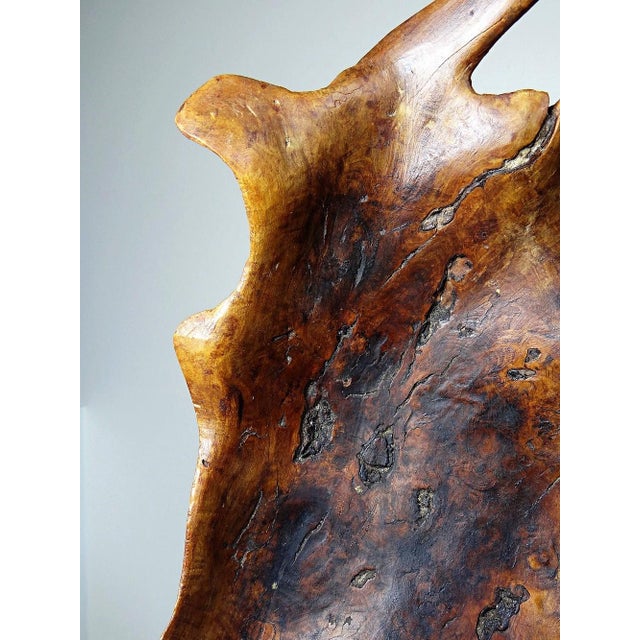 Large Bowl in Dark Raw Wood, 1950s For Sale - Image 13 of 17