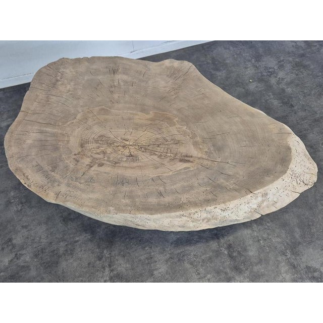 2000 - 2009 Coffee Table with Raw Wood Slice Top on Metal Base For Sale - Image 5 of 6