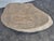 2000 - 2009 Coffee Table with Raw Wood Slice Top on Metal Base For Sale - Image 5 of 6