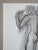 Modern Henri Matisse, Nude, 1981, Lithograph For Sale - Image 3 of 14