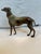 1940s Cast Iron Saluki For Sale - Image 9 of 12