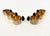 Bauhaus Silver-Plated Mocha Cups with Bakelite Handles, 1930s, Set of 6 For Sale - Image 7 of 13