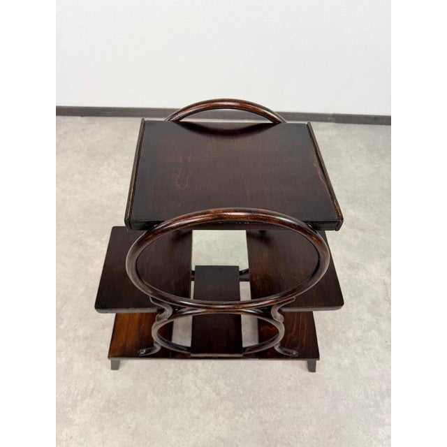 Gold Vienna Secession 4-Tier Bentwood Plant Stand from Thonet, 1910 For Sale - Image 8 of 10