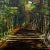 Contemporary Late 20th Century Fenol Marcelin Avenue of Trees Oil on Canvas For Sale - Image 3 of 5