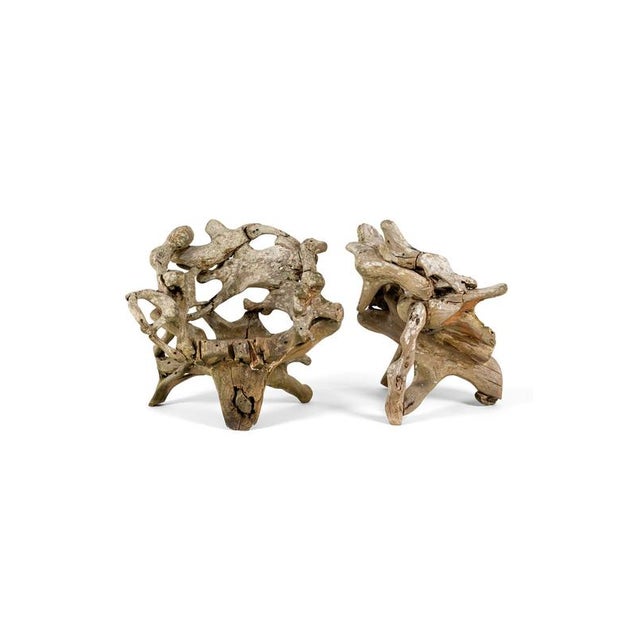An extortionary pair of weathered root wood armchairs made from teak wood. Each chair is made from branches, roots and...