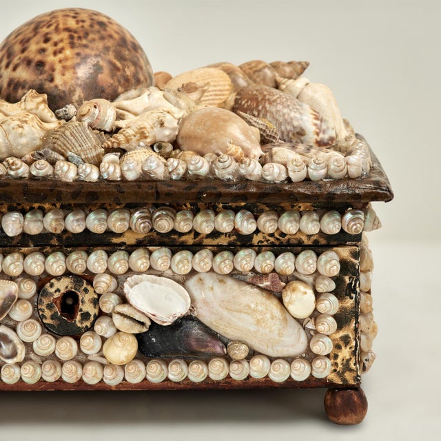 Antique British Colonial Seashell Encrusted Jewelry Box For Sale - Image 9 of 10