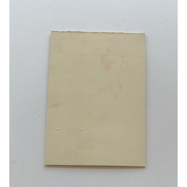 Contemporary Signed Original Watercolor Botanical Painting “Cone Flower” For Sale - Image 3 of 3