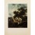1954 After Meindert Hobbema "The Watermill", Vintage Full-Color Print For Sale In Dallas - Image 6 of 8