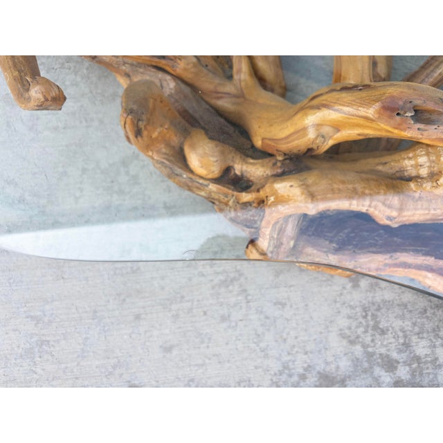 1960s Mid-Century Modern Driftwood Coffee Table With Freeform Glass Top For Sale - Image 12 of 15
