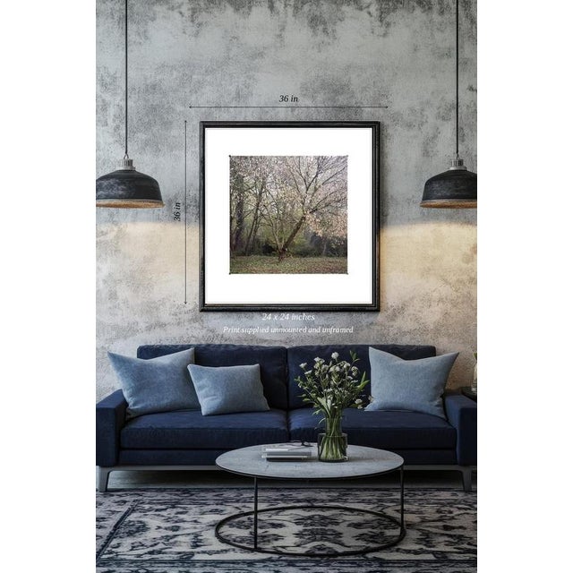 Fine art Giclee prints on Hahnemuhle Photo Rag 308gsm - a 100% cotton, acid-free, mould-made paper. Printed to Fine Art...