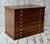 Antique French Apothecary Drawer Cabinet, 1900 For Sale - Image 9 of 11