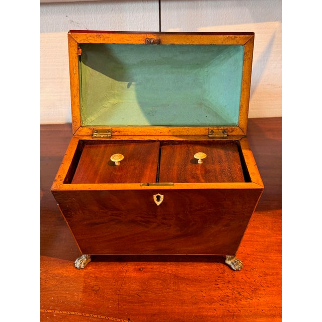 19th Century Sarcophagus Form Tea Caddy With Brass Paw Feet For Sale - Image 4 of 7