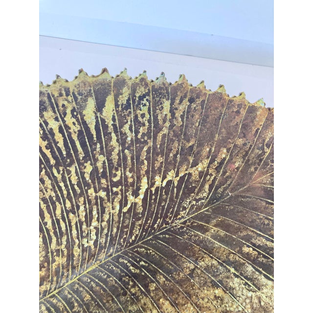 Bronze Leaf Centerpiece Sculpture #6 For Sale In Los Angeles - Image 6 of 12