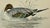 Antique Hand Tinted Bird Print From England Featuring a Pintail Duck - Circa 1888 For Sale - Image 9 of 11