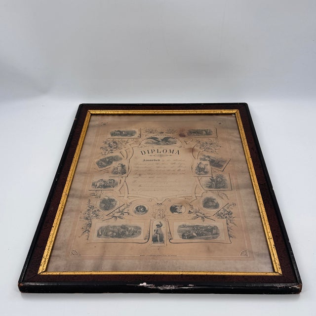 Brown 1884 Agricultural Fair Diploma Indiana Southern Michigan Americana For Sale - Image 8 of 12