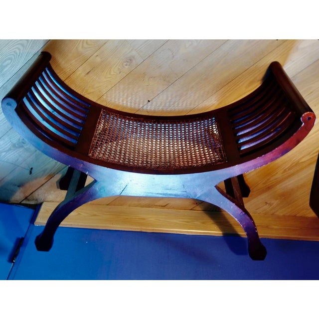 1950s Curule Bench W/Cane For Sale - Image 13 of 16