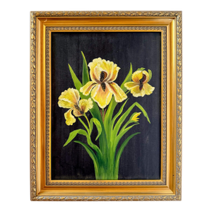 "Irises" Original Contemporary Botanical Oil Painting on Canvas With Black Background