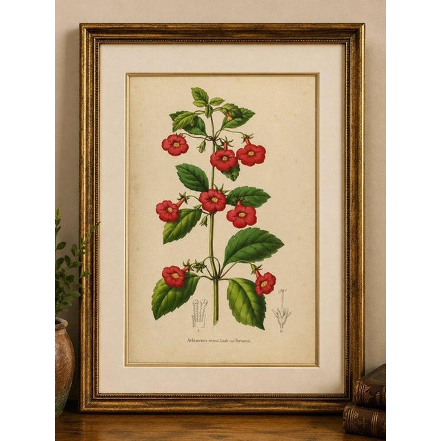 Gold Charles Morren, Red Achimenes Flower Botanical, 1845, Lithograph For Sale - Image 8 of 9