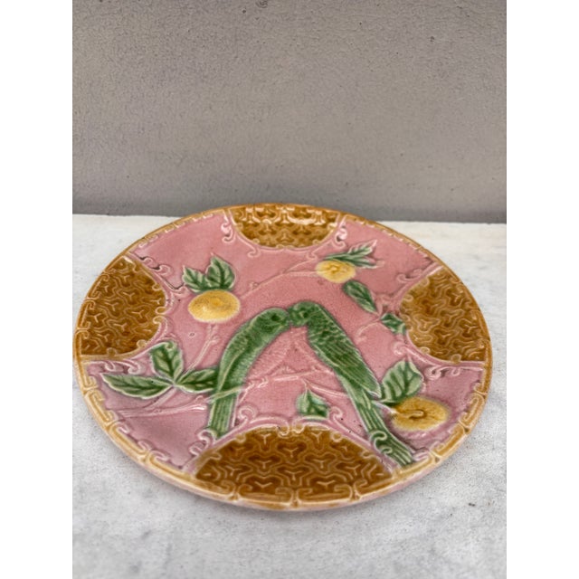 Majolica plate with two parakeets on a very rare pink background with oranges of Salins, circa 1890.