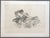 Etching and aquatint, 1970 Handsigned by the artist in pencil and numbered 33/75 Publisher : Las estampas de la cometa...