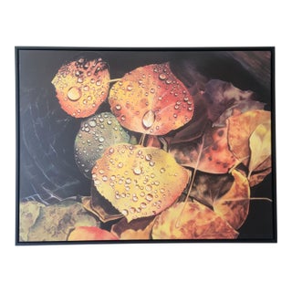 Large Rebecca Hodges Canvas Print of Autumn Leaves in Black Floating Frame For Sale
