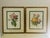 These classic and beautiful prints are limited edition reproductions of antique prints by renowned French botanical artist...