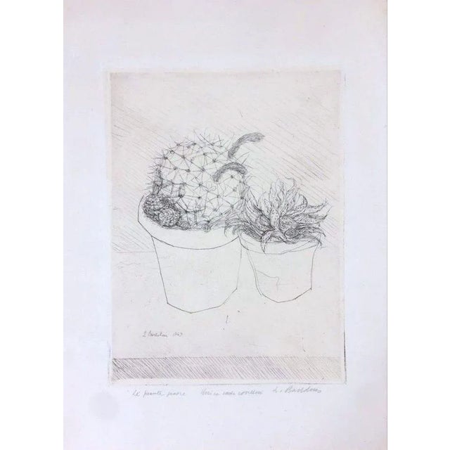 Image dimensions: 32.5 x 24.5 cm. Le Piante Grasse is an original artwork realized by Luigi Bartolini in 1949. Precious...