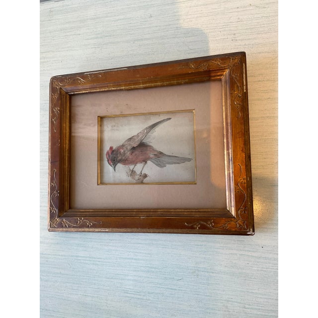 Late 19th Century 1870s Watercolor of Bird For Sale - Image 5 of 8