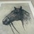 American Horse Etching by Ellsworth Woodward For Sale - Image 4 of 7