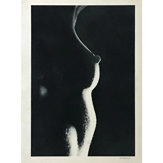 Artist: Erwin Blumenfeld Title: Photogravure No.4 Medium: Heliogravure Marks: Not signed, not numbered Paper Size: Vellum...