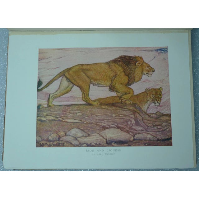 Early 20th Century Illustrated Volume Set, Frank Finn's the Wild Beasts of the World - 2 Books For Sale - Image 11 of 12