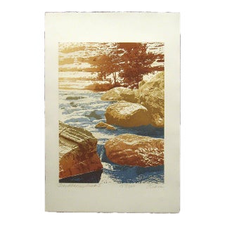 1980s Paula Crane "Troublesome Creek II Signed Numbered Art Etching, Waterfall For Sale