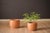 Mid-Century Modern Mid Century Modern California Terra Cotta Planter Pot by Gainey Ceramics For Sale - Image 3 of 10