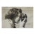 Mid 20th Century Woman With Camera Snapshot Photograph For Sale