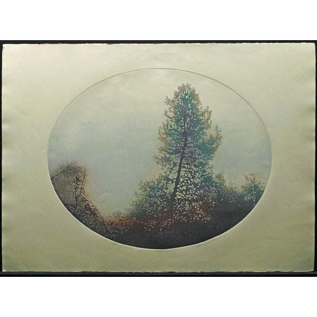"Spring Pines I & Spring Pines II" by Catherine O'Connor Hand signed, titled & numbered by the artist Unframed 2 Original...