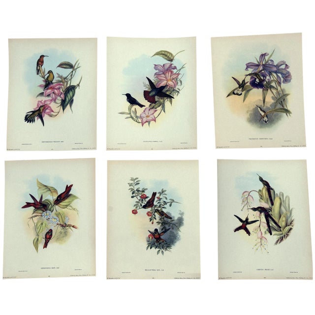 Vintage John Gould colored Hummingbird lithographs; page 01 to 06 in 11" x 14" format. These were printed from the...