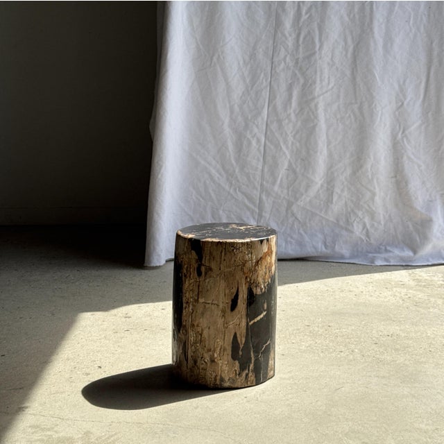 Black Side Table in Black Petrified Wood with Beige Sides, 1980s For Sale - Image 8 of 18