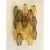 Gold Murano Glass Wall Sconce by Simoeng for Simoeng For Sale - Image 8 of 9