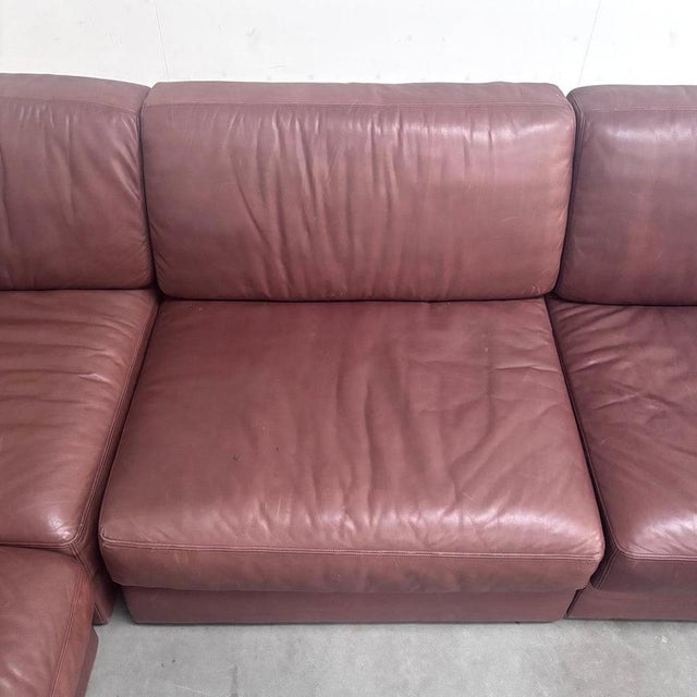 Brown Leather DS76 Modular Sofa from de Sede, 1970s, Set of 4 For Sale - Image 11 of 18