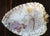 Ceramic Extraordinary Large 19th Century Porcelain Heart Shaped Wall Hanging or Centerpiece, Hand-Painted - By G. W. Turner, Tunstall, England For Sale - Image 7 of 11