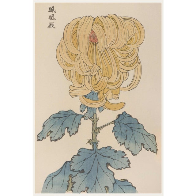 Gold Floral Giclee, Vintage Japanese Botanical Art Print, 8" X 12" For Sale