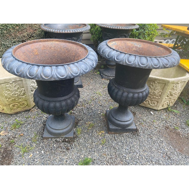 Traditional Classic Large Black Cast Iron Garden Urns -A Pair For Sale - Image 3 of 9