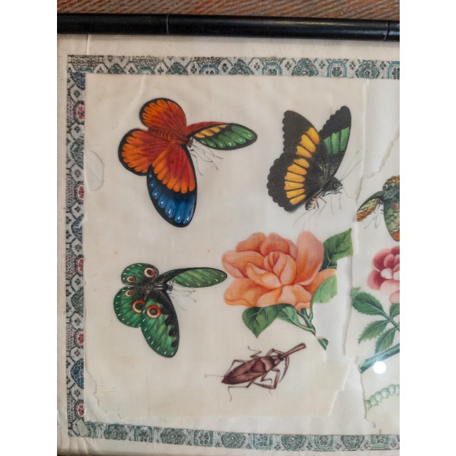 Paper 19th Century Chinese Export Watercolor Painting With Butterflies and Moths For Sale - Image 7 of 9